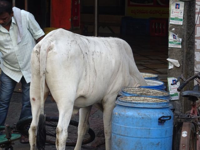Vijayawada